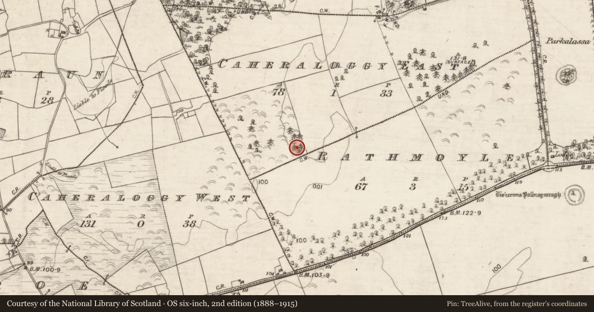 Ordnance Survey six-inch map, 2nd edition (1888–1915) covering the location of Designed landscape feature, Caheraloggy East, County Galway, with a pin at the register's coordinates