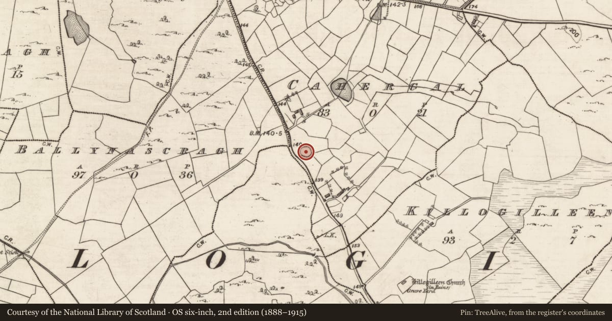Ordnance Survey six-inch map, 2nd edition (1888–1915) covering the location of Ringfort - cashel, Cahergal, County Galway, with a pin at the register's coordinates