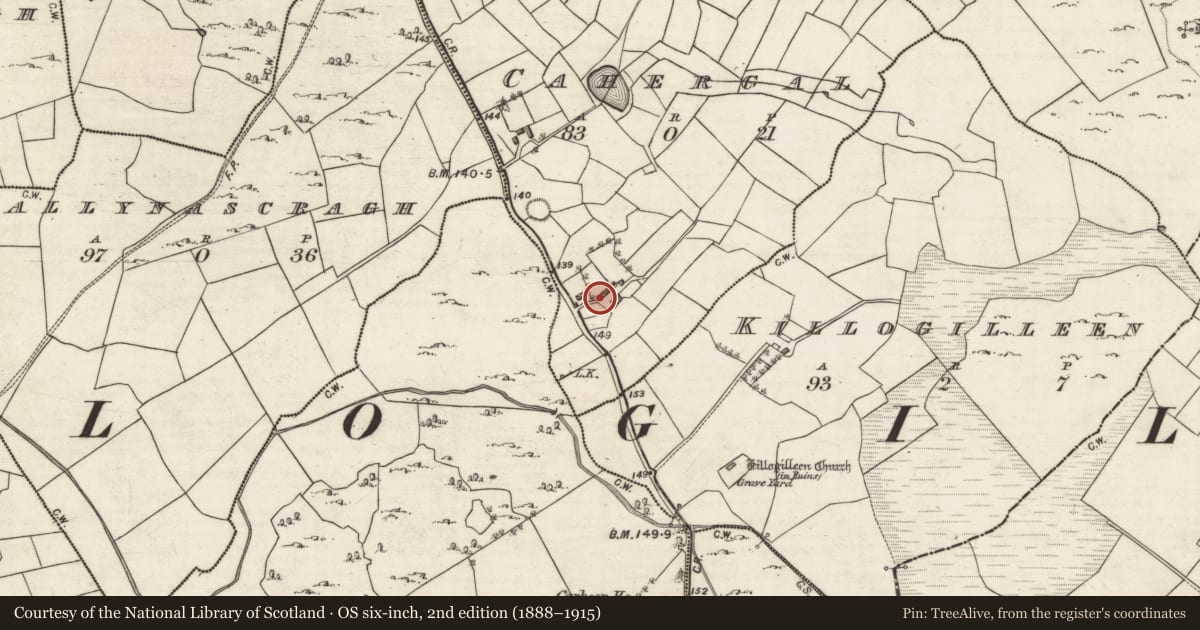 Ordnance Survey six-inch map, 2nd edition (1888–1915) covering the location of Memorial stone (present location), Cahergal, County Galway, with a pin at the register's coordinates