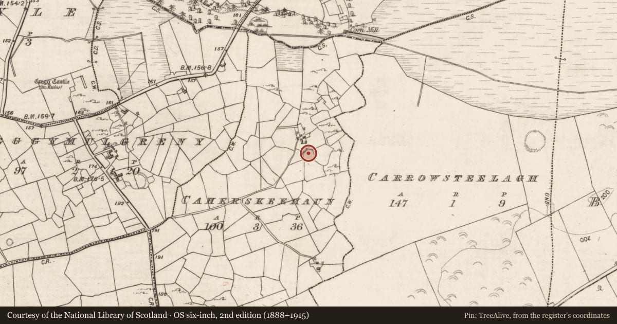 Ordnance Survey six-inch map, 2nd edition (1888–1915) covering the location of Ringfort - cashel, Caherskeehaun, County Galway, with a pin at the register's coordinates