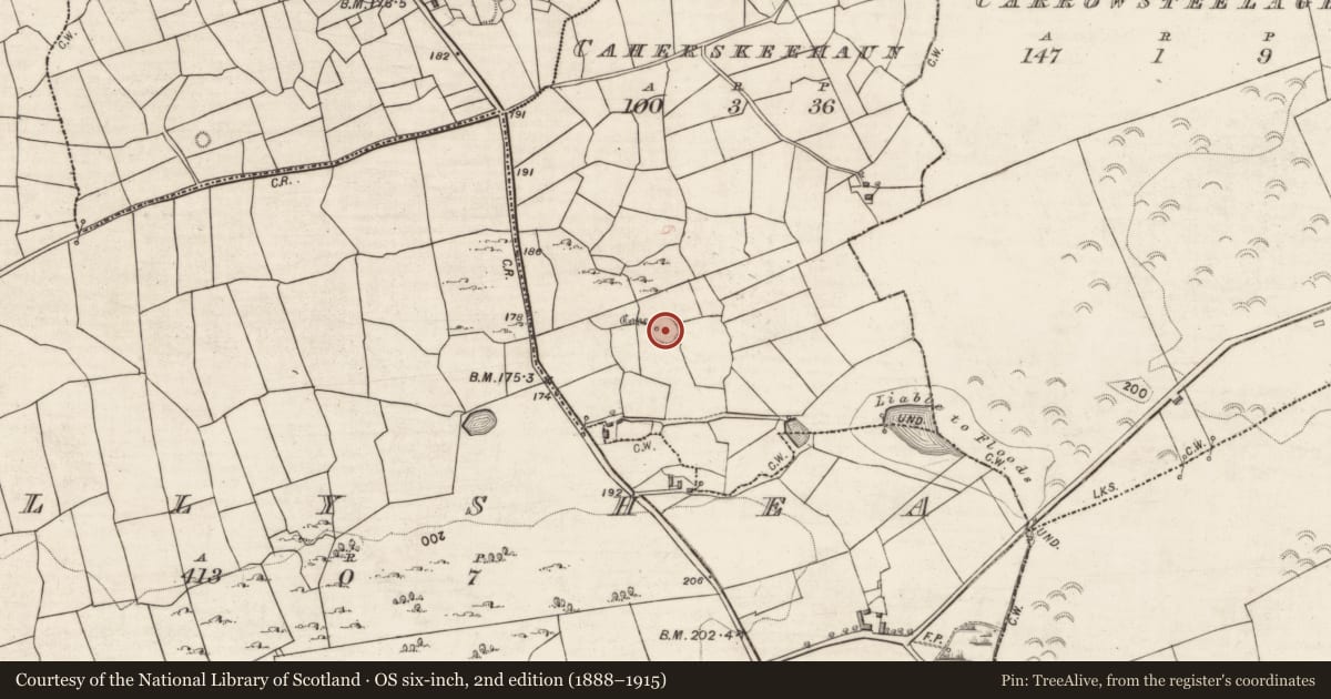 Ordnance Survey six-inch map, 2nd edition (1888–1915) covering the location of Souterrain, Caherskeehaun, County Galway, with a pin at the register's coordinates