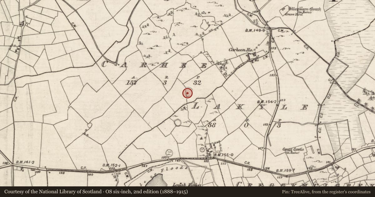 Ordnance Survey six-inch map, 2nd edition (1888–1915) covering the location of Ringfort - rath, Carheen, County Galway, with a pin at the register's coordinates