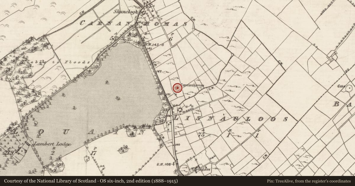 Ordnance Survey six-inch map, 2nd edition (1888–1915) covering the location of Castle - unclassified, Carnanthomas, County Galway, with a pin at the register's coordinates