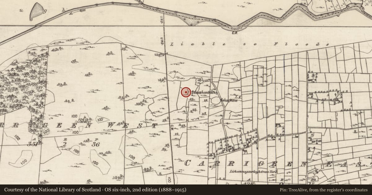 Ordnance Survey six-inch map, 2nd edition (1888–1915) covering the location of Ringfort - cashel, Carrigeen East, County Galway, with a pin at the register's coordinates