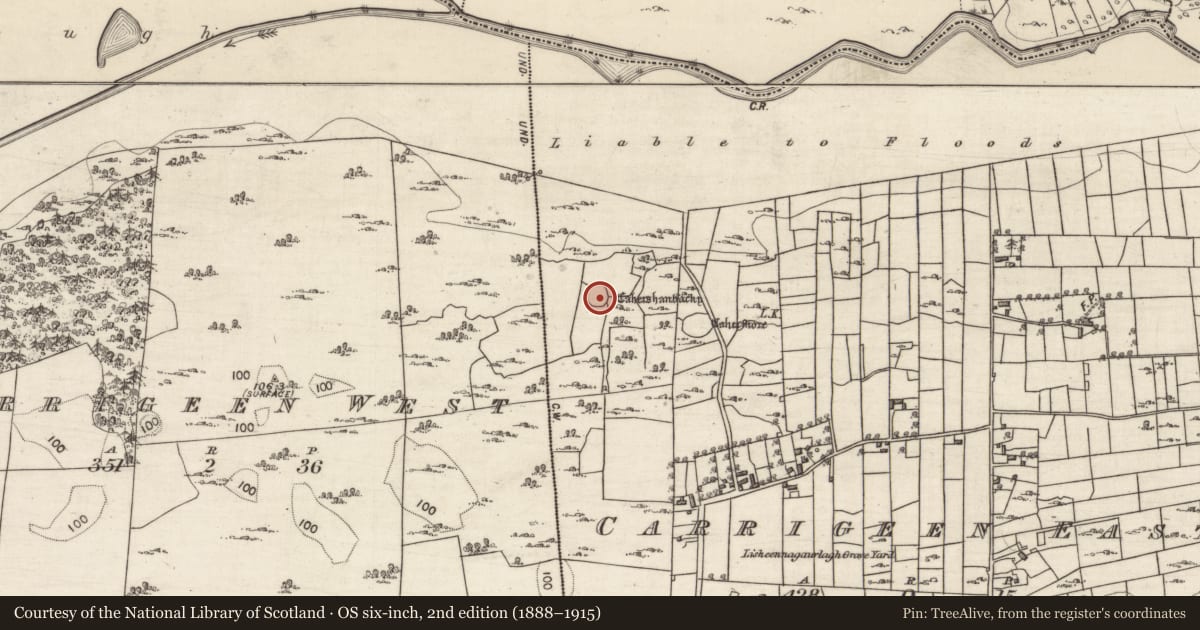 Ordnance Survey six-inch map, 2nd edition (1888–1915) covering the location of Souterrain, Carrigeen East, County Galway, with a pin at the register's coordinates