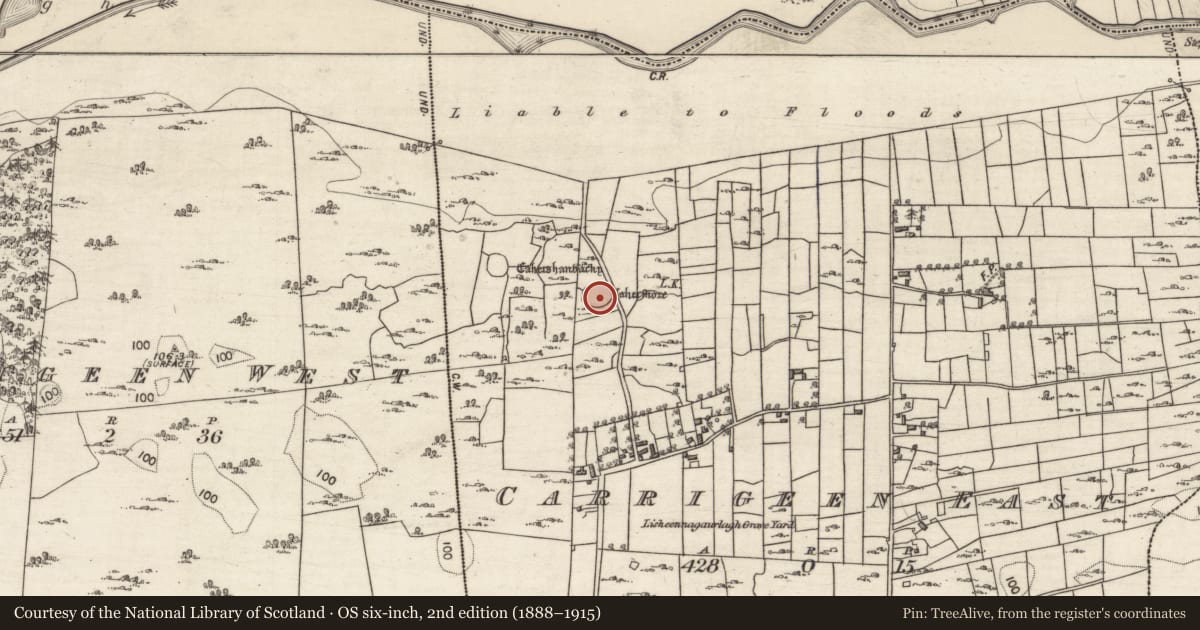 Ordnance Survey six-inch map, 2nd edition (1888–1915) covering the location of Ringfort - cashel, Carrigeen East, County Galway, with a pin at the register's coordinates