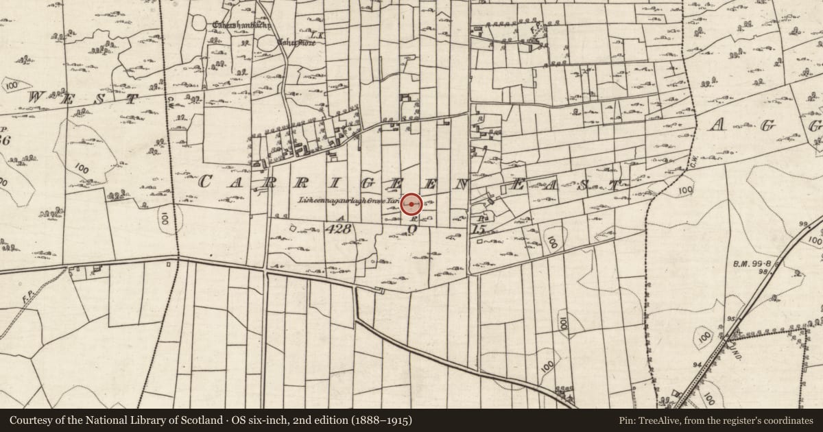 Ordnance Survey six-inch map, 2nd edition (1888–1915) covering the location of Enclosure, Carrigeen East, County Galway, with a pin at the register's coordinates