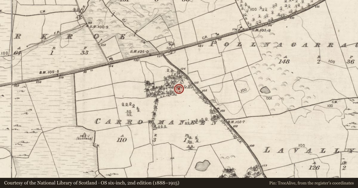 Ordnance Survey six-inch map, 2nd edition (1888–1915) covering the location of Well, Carrowmaneen, County Galway, with a pin at the register's coordinates