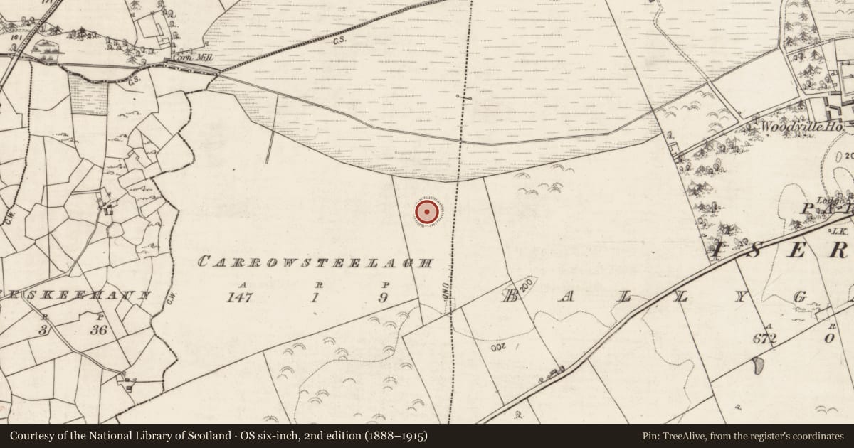 Ordnance Survey six-inch map, 2nd edition (1888–1915) covering the location of Ringfort - rath, Carrowsteelagh, County Galway, with a pin at the register's coordinates