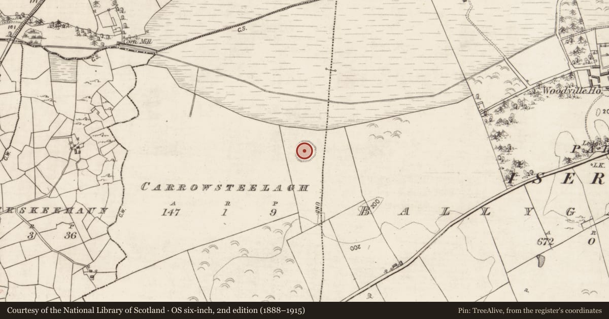 Ordnance Survey six-inch map, 2nd edition (1888–1915) covering the location of Souterrain, Carrowsteelagh, County Galway, with a pin at the register's coordinates