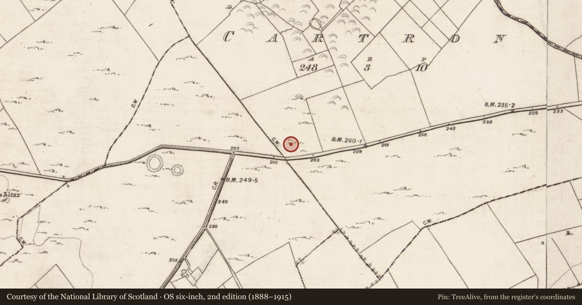 Ordnance Survey six-inch map, 2nd edition (1888–1915) covering the location of Souterrain, Cartron, County Galway, with a pin at the register's coordinates