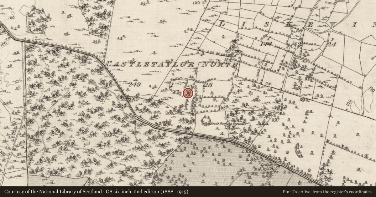 Ordnance Survey six-inch map, 2nd edition (1888–1915) covering the location of Ringfort - cashel, Castletaylor North, County Galway, with a pin at the register's coordinates