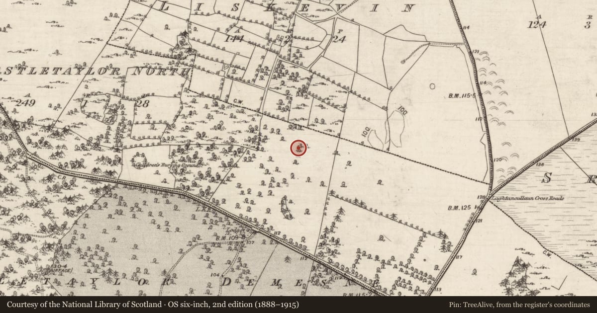 Ordnance Survey six-inch map, 2nd edition (1888–1915) covering the location of Designed landscape feature, Castletaylor North, County Galway, with a pin at the register's coordinates