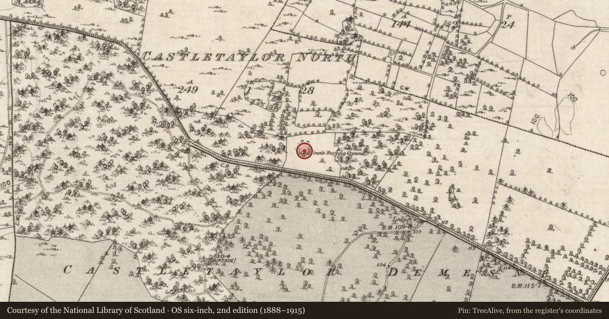 Ordnance Survey six-inch map, 2nd edition (1888–1915) covering the location of Ringfort - cashel, Castletaylor North, County Galway, with a pin at the register's coordinates