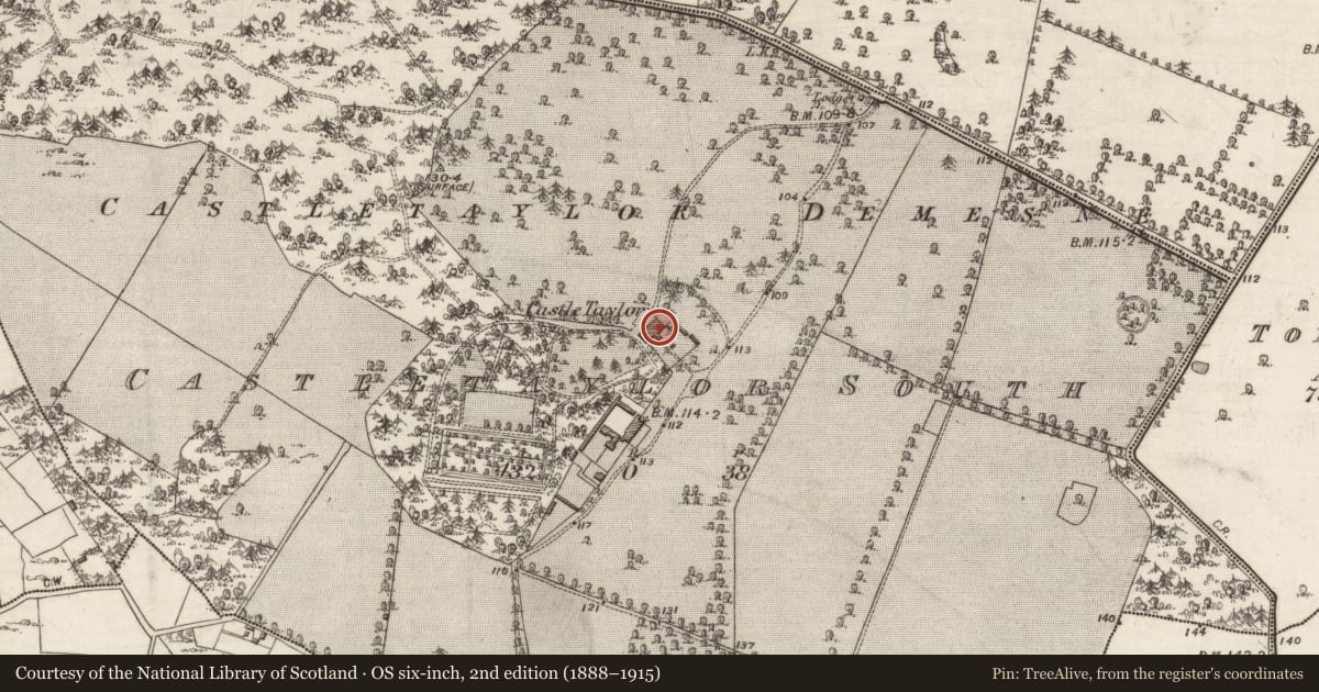 Ordnance Survey six-inch map, 2nd edition (1888–1915) covering the location of Castle - tower house, Castletaylor South, County Galway, with a pin at the register's coordinates
