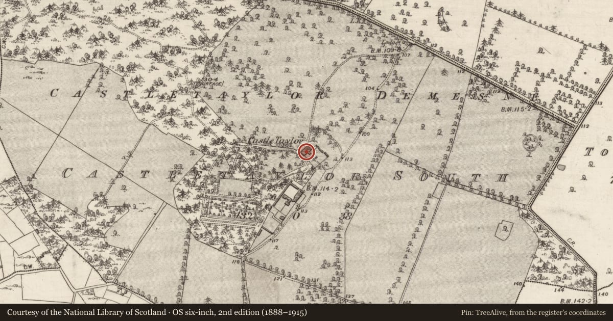 Ordnance Survey six-inch map, 2nd edition (1888–1915) covering the location of Country house, Castletaylor South, County Galway, with a pin at the register's coordinates