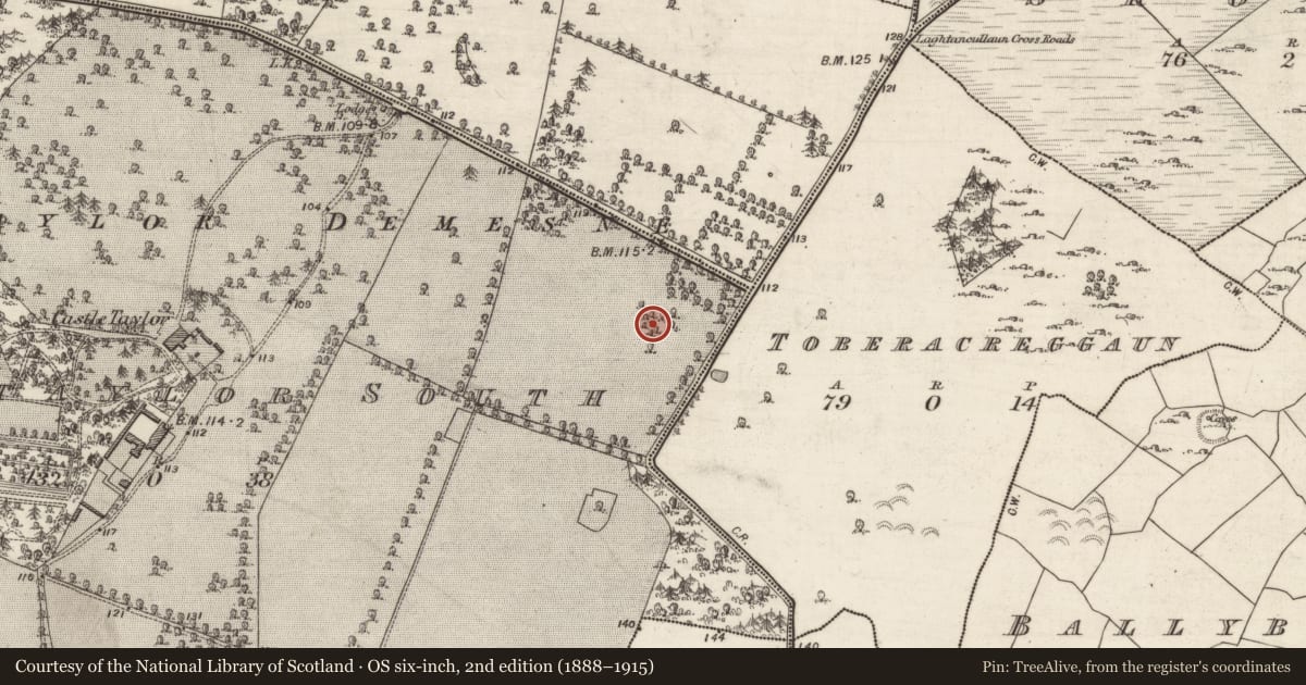 Ordnance Survey six-inch map, 2nd edition (1888–1915) covering the location of Ringfort - rath, Castletaylor South, County Galway, with a pin at the register's coordinates