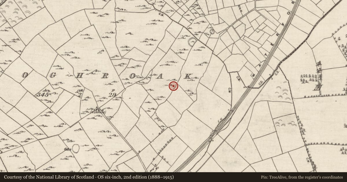 Ordnance Survey six-inch map, 2nd edition (1888–1915) covering the location of Ringfort - cashel, Cloghroak, County Galway, with a pin at the register's coordinates