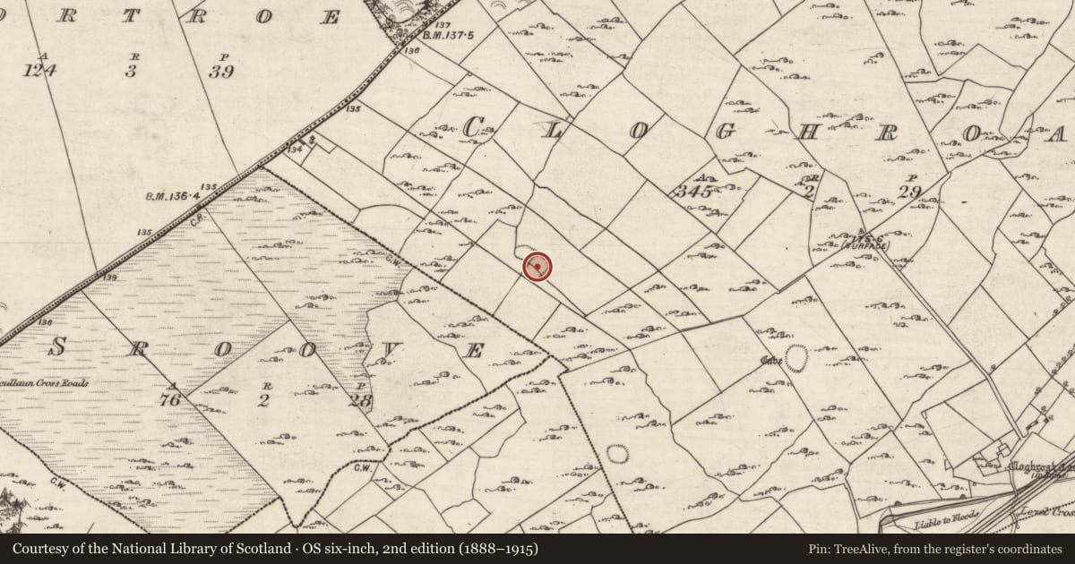 Ordnance Survey six-inch map, 2nd edition (1888–1915) covering the location of Ringfort - rath, Cloghroak, County Galway, with a pin at the register's coordinates