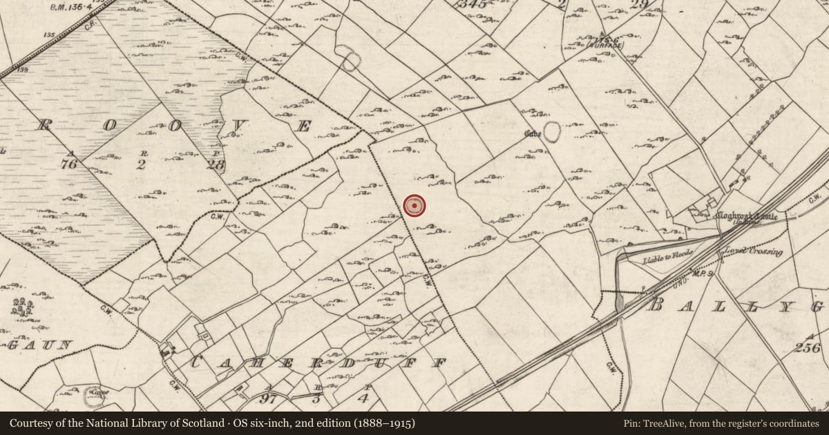 Ordnance Survey six-inch map, 2nd edition (1888–1915) covering the location of Ringfort - cashel, Cloghroak, County Galway, with a pin at the register's coordinates