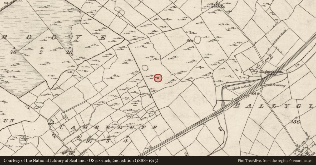 Ordnance Survey six-inch map, 2nd edition (1888–1915) covering the location of Field system, Cloghroak, County Galway, with a pin at the register's coordinates