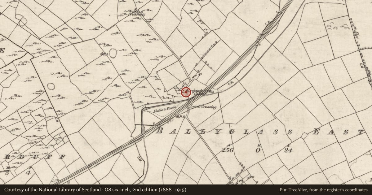 Ordnance Survey six-inch map, 2nd edition (1888–1915) covering the location of Castle - tower house, Cloghroak, County Galway, with a pin at the register's coordinates
