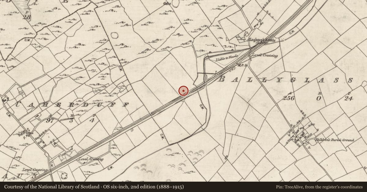 Ordnance Survey six-inch map, 2nd edition (1888–1915) covering the location of Cist, Cloghroak, County Galway, with a pin at the register's coordinates