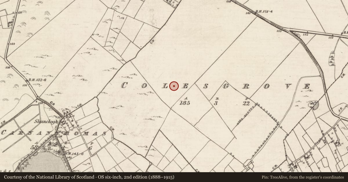 Ordnance Survey six-inch map, 2nd edition (1888–1915) covering the location of Children's burial ground, Colesgrove, County Galway, with a pin at the register's coordinates