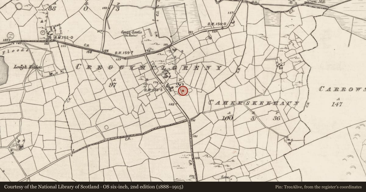 Ordnance Survey six-inch map, 2nd edition (1888–1915) covering the location of Ringfort - cashel, Creggymulgreny, County Galway, with a pin at the register's coordinates