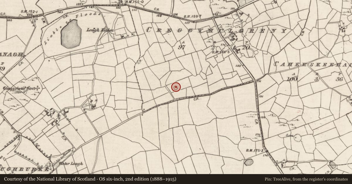 Ordnance Survey six-inch map, 2nd edition (1888–1915) covering the location of Ringfort - rath, Creggymulgreny, County Galway, with a pin at the register's coordinates