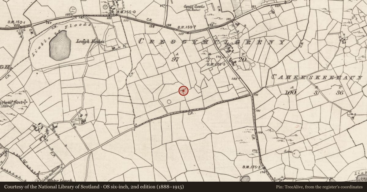 Ordnance Survey six-inch map, 2nd edition (1888–1915) covering the location of Ringfort - rath, Creggymulgreny, County Galway, with a pin at the register's coordinates