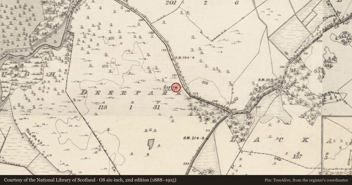 Ordnance Survey six-inch map, 2nd edition (1888–1915) covering the location of Castle - tower house, Deerpark, County Galway, with a pin at the register's coordinates