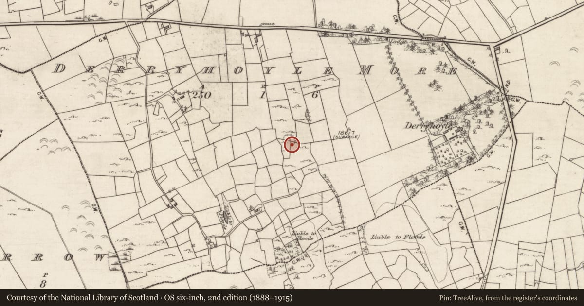 Ordnance Survey six-inch map, 2nd edition (1888–1915) covering the location of Children's burial ground, Derryhoyle More, County Galway, with a pin at the register's coordinates