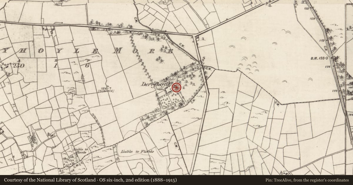 Ordnance Survey six-inch map, 2nd edition (1888–1915) covering the location of House - indeterminate date, Derryhoyle More, County Galway, with a pin at the register's coordinates