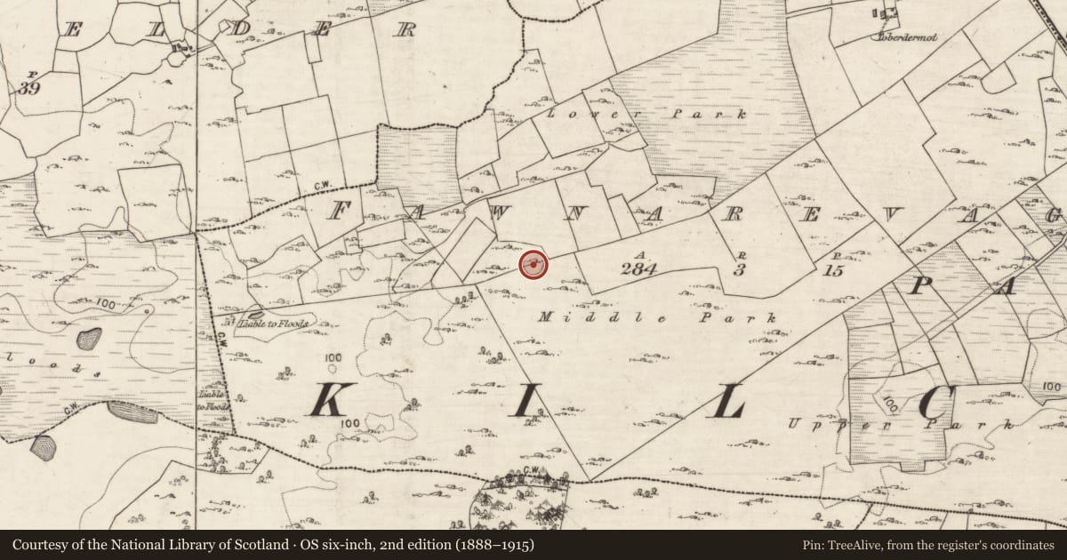 Ordnance Survey six-inch map, 2nd edition (1888–1915) covering the location of Ringfort - cashel, Fawnarevagh, County Galway, with a pin at the register's coordinates