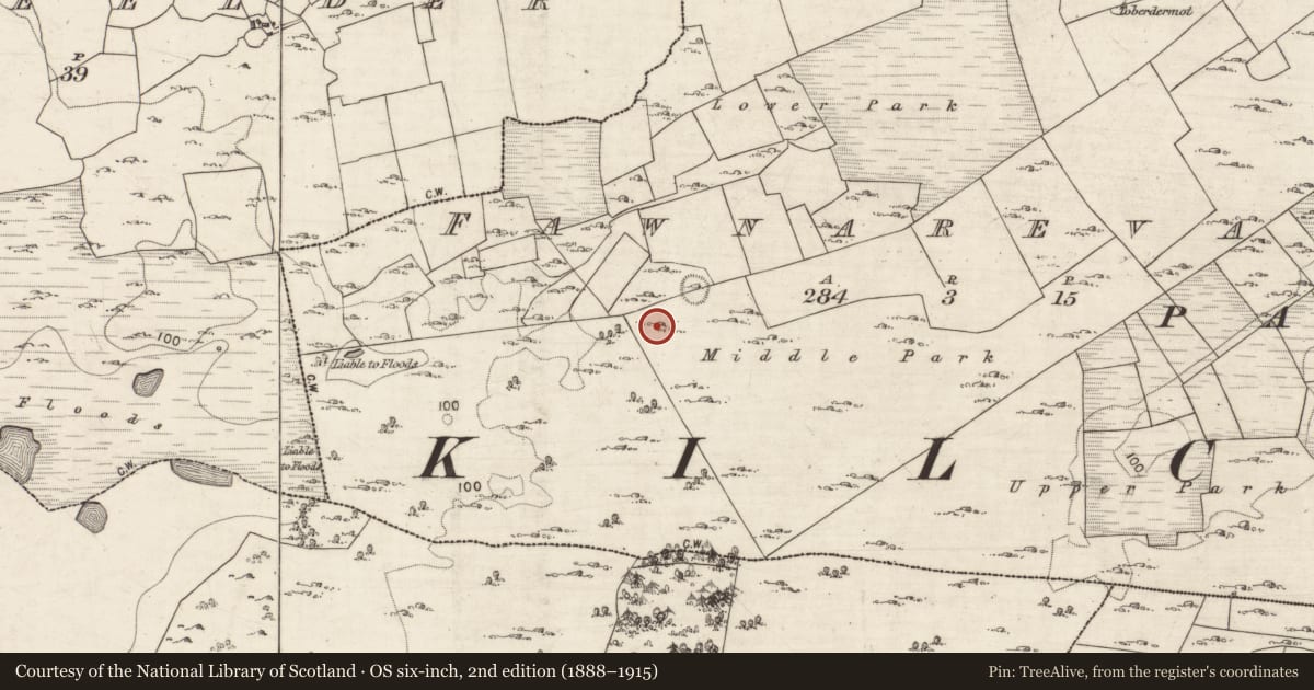Ordnance Survey six-inch map, 2nd edition (1888–1915) covering the location of Ringfort - cashel, Fawnarevagh, County Galway, with a pin at the register's coordinates