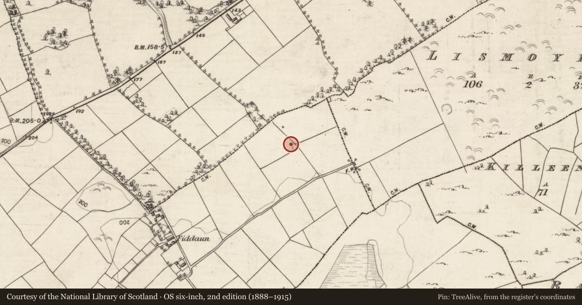 Ordnance Survey six-inch map, 2nd edition (1888–1915) covering the location of Ringfort - rath, Fiddaun, County Galway, with a pin at the register's coordinates