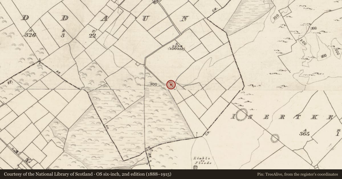 Ordnance Survey six-inch map, 2nd edition (1888–1915) covering the location of Ringfort - rath, Fiddaun, County Galway, with a pin at the register's coordinates