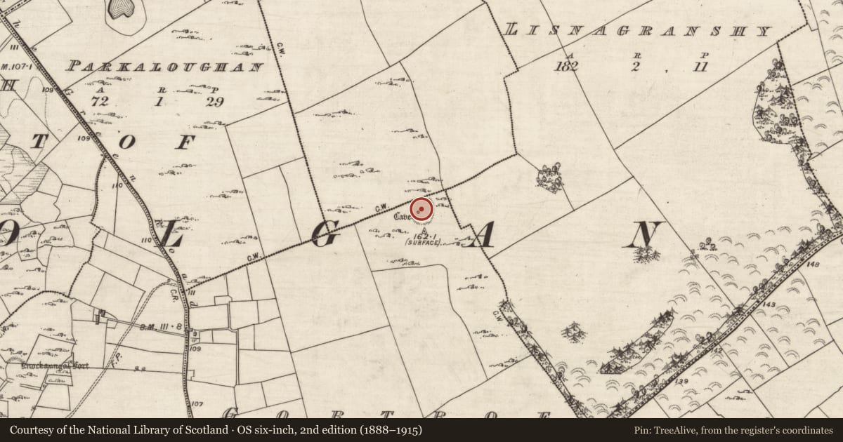 Ordnance Survey six-inch map, 2nd edition (1888–1915) covering the location of Ringfort - rath, Parkbaun, Gortroe, County Galway, with a pin at the register's coordinates