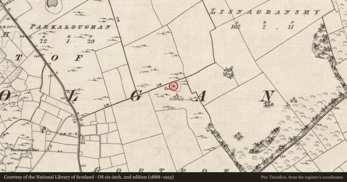 Ordnance Survey six-inch map, 2nd edition (1888–1915) covering the location of Souterrain, Gortroe, Parkbaun, County Galway, with a pin at the register's coordinates
