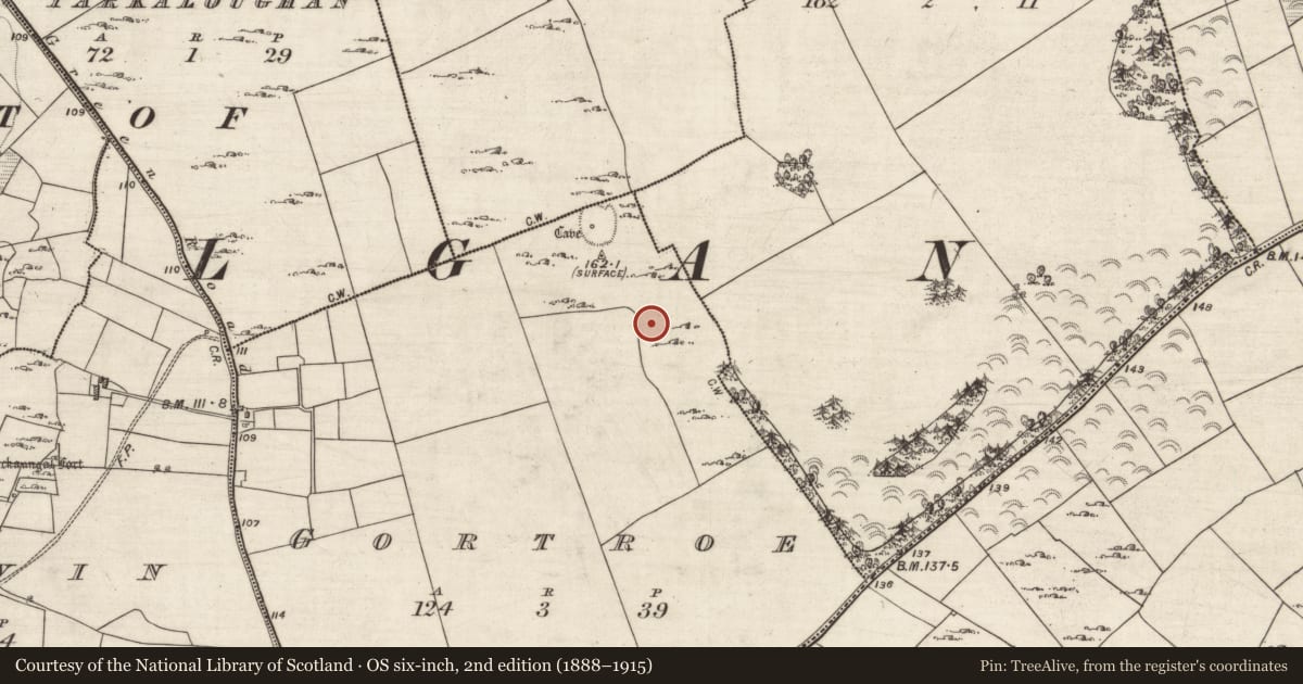 Ordnance Survey six-inch map, 2nd edition (1888–1915) covering the location of Ringfort - cashel, Gortroe, County Galway, with a pin at the register's coordinates