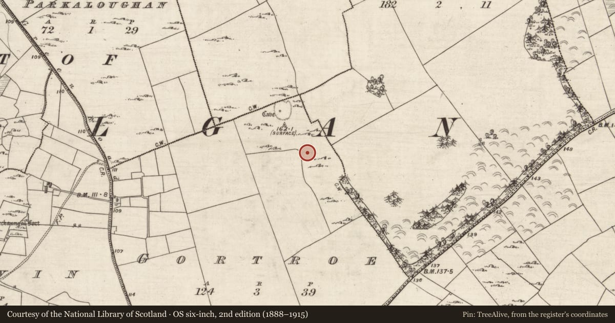 Ordnance Survey six-inch map, 2nd edition (1888–1915) covering the location of Souterrain, Gortroe, County Galway, with a pin at the register's coordinates