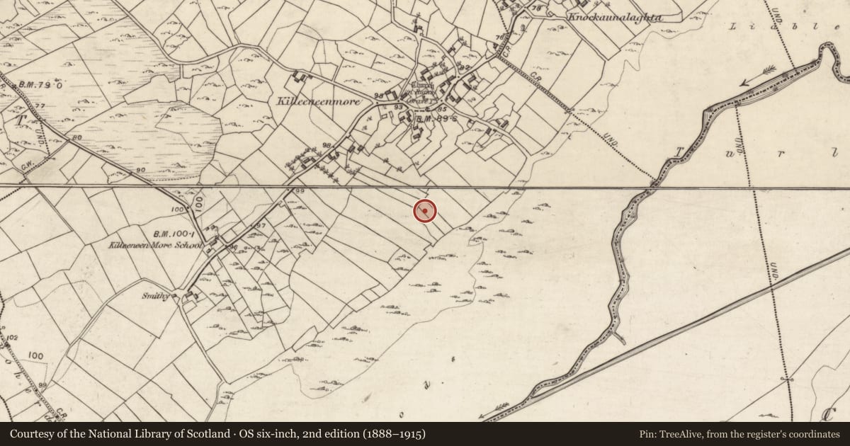 Ordnance Survey six-inch map, 2nd edition (1888–1915) covering the location of Ringfort - cashel, Killeeneen More, County Galway, with a pin at the register's coordinates