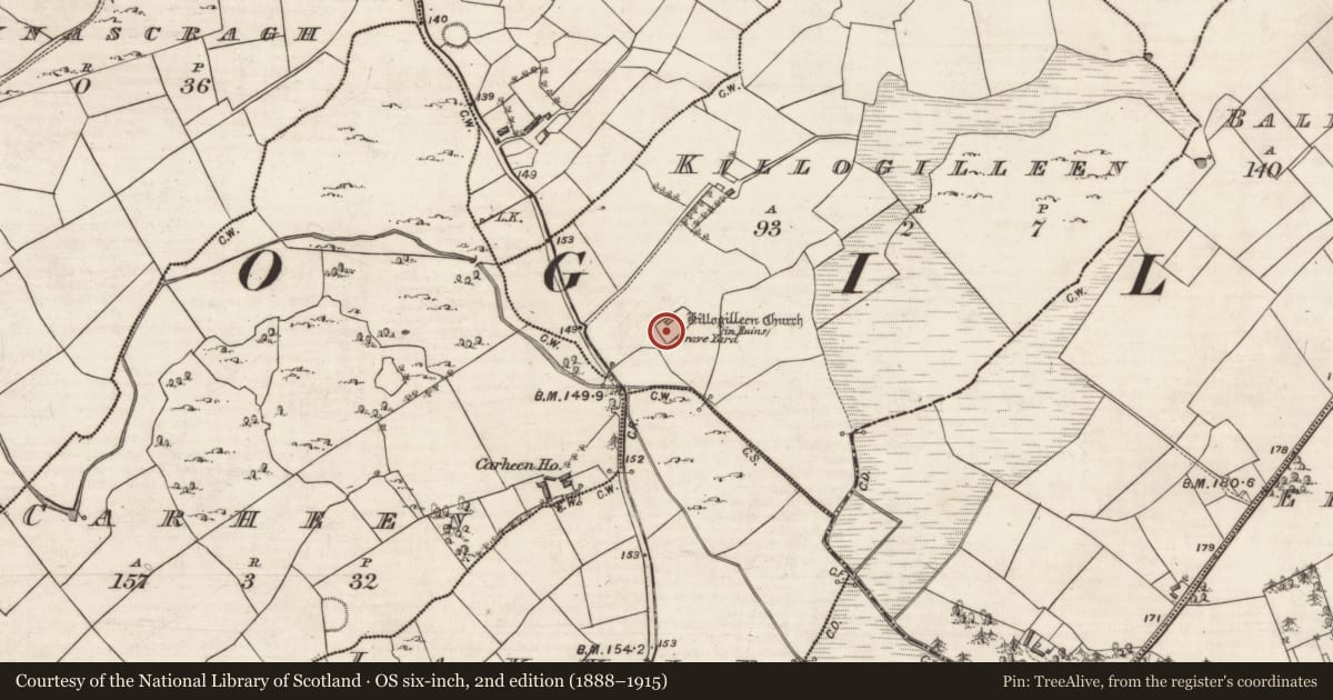 Ordnance Survey six-inch map, 2nd edition (1888–1915) covering the location of Stone head, Killogilleen, County Galway, with a pin at the register's coordinates