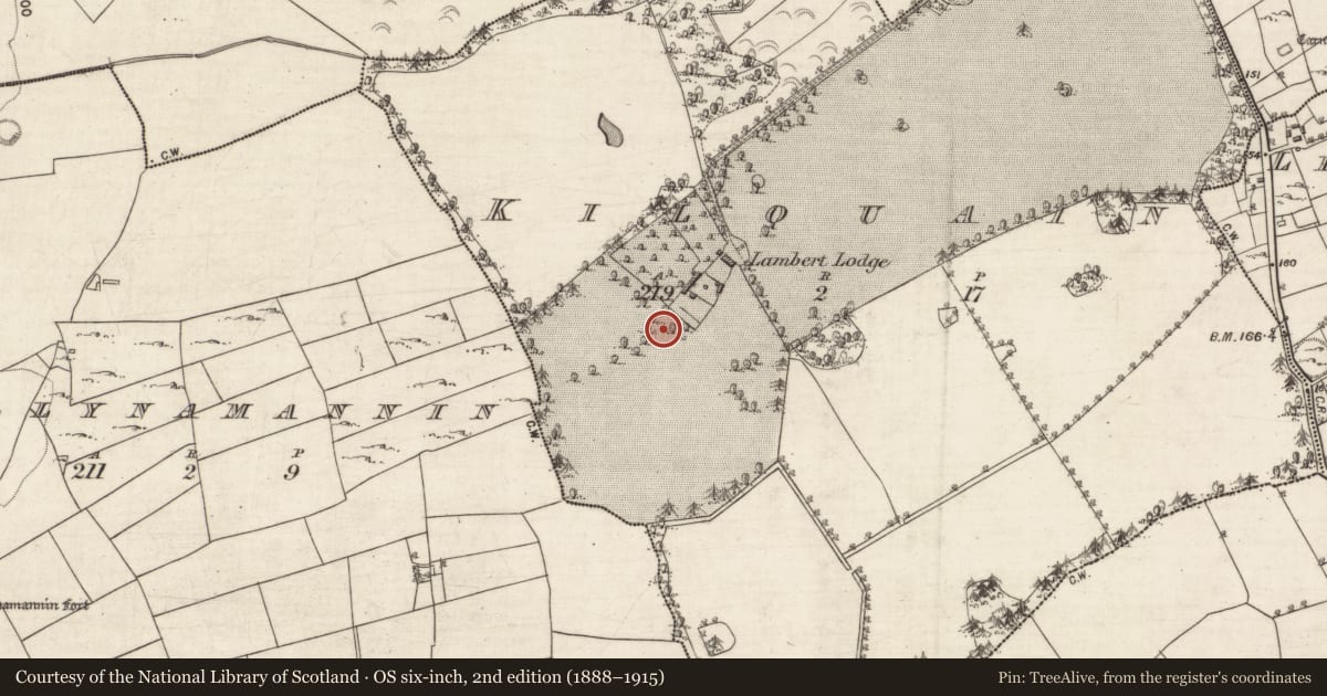 Ordnance Survey six-inch map, 2nd edition (1888–1915) covering the location of House - indeterminate date, Kilquain, County Galway, with a pin at the register's coordinates