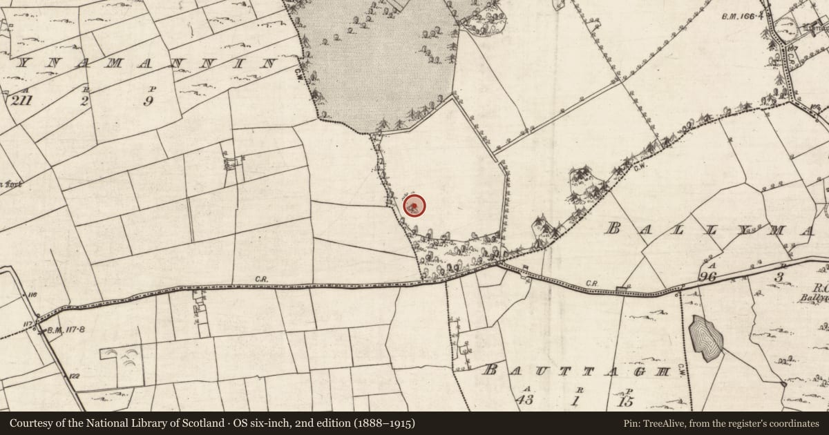 Ordnance Survey six-inch map, 2nd edition (1888–1915) covering the location of Standing stone, Kilquain, County Galway, with a pin at the register's coordinates