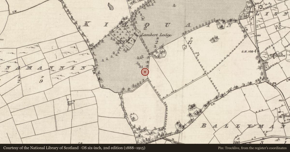 Ordnance Survey six-inch map, 2nd edition (1888–1915) covering the location of Ringfort - rath, Kilquain, County Galway, with a pin at the register's coordinates