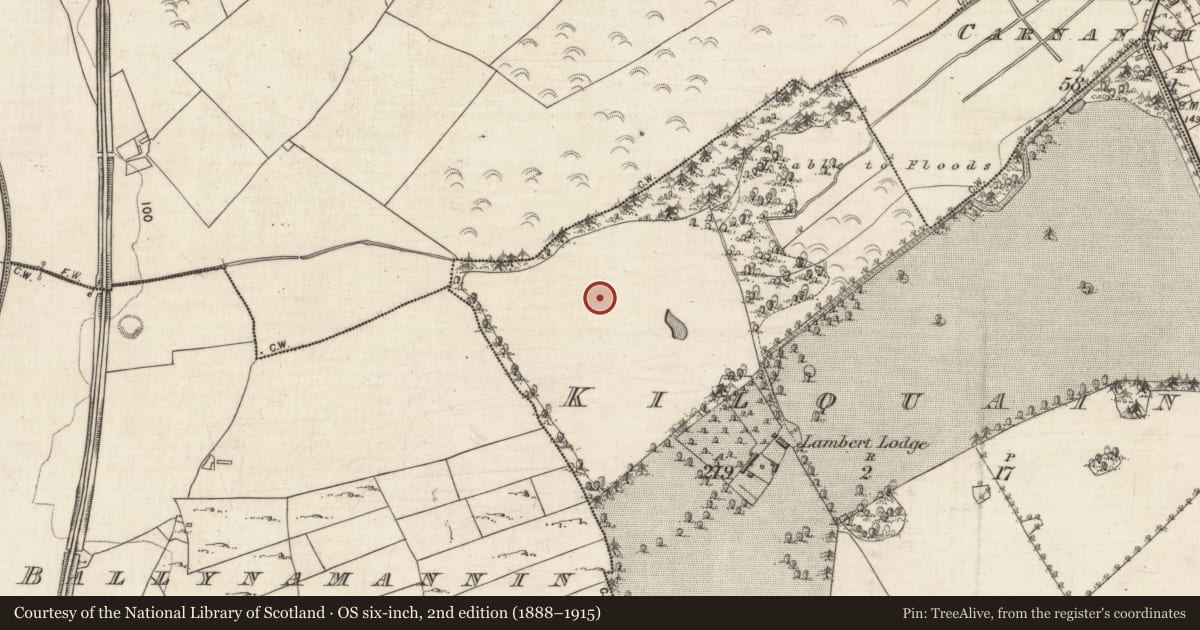 Ordnance Survey six-inch map, 2nd edition (1888–1915) covering the location of Ringfort - rath, Kilquain, County Galway, with a pin at the register's coordinates