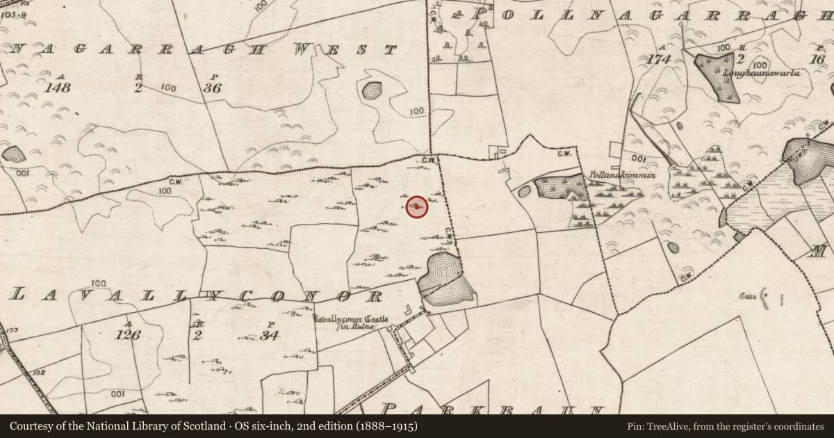 Ordnance Survey six-inch map, 2nd edition (1888–1915) covering the location of Burial, Lavallyconor, County Galway, with a pin at the register's coordinates