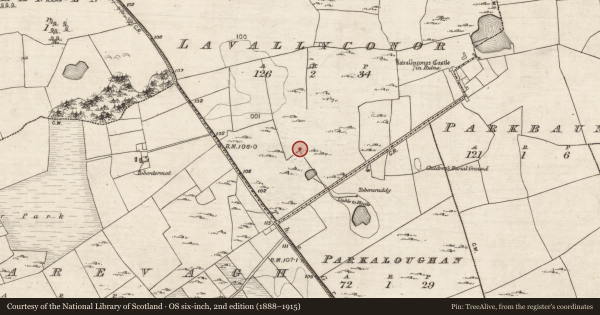 Ordnance Survey six-inch map, 2nd edition (1888–1915) covering the location of Ringfort - cashel, Lavallyconor, County Galway, with a pin at the register's coordinates